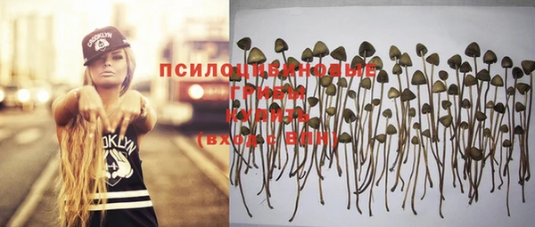 PSILOCYBIN Абаза