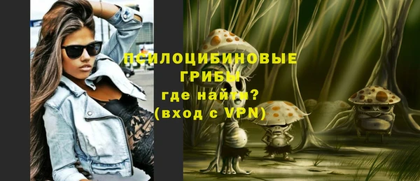 твердый Абинск
